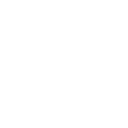 Icon of the globe maily showing South America and Africa